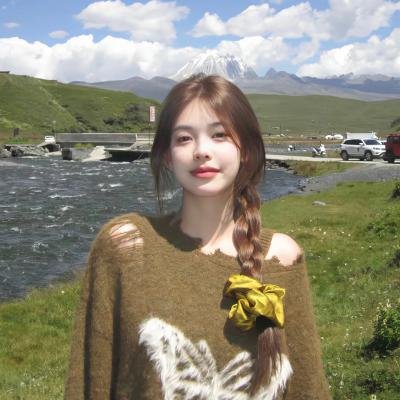 另类民兵葛二蛋
